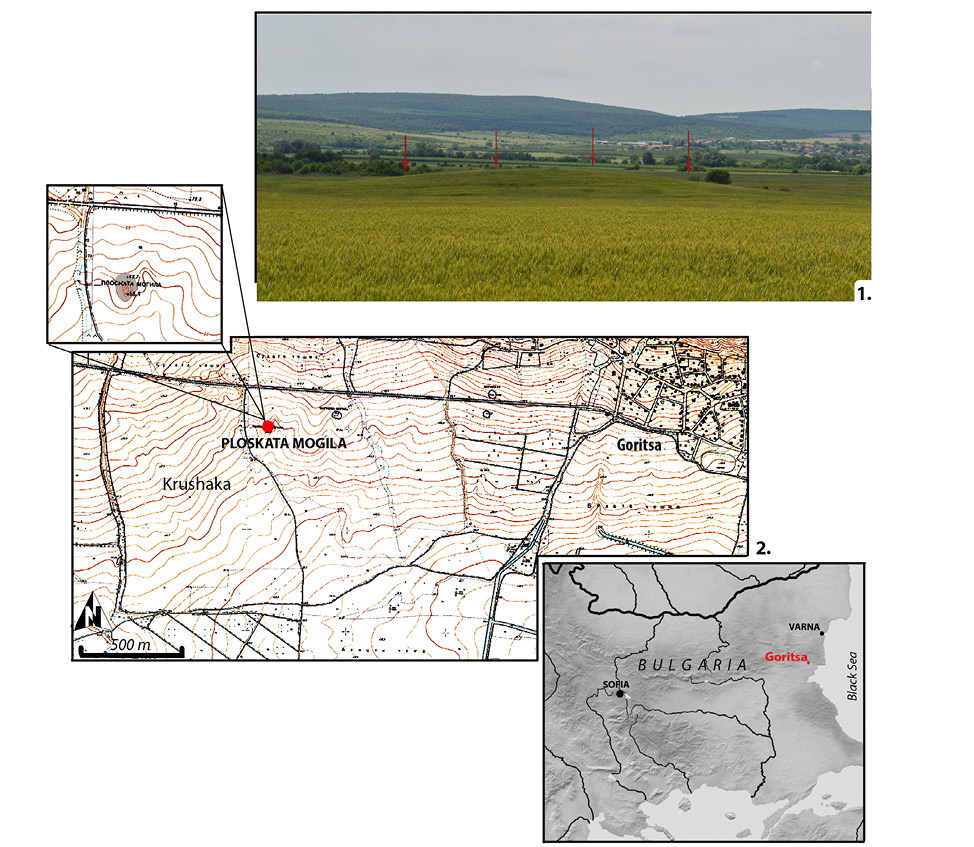 Fig.3.jpg