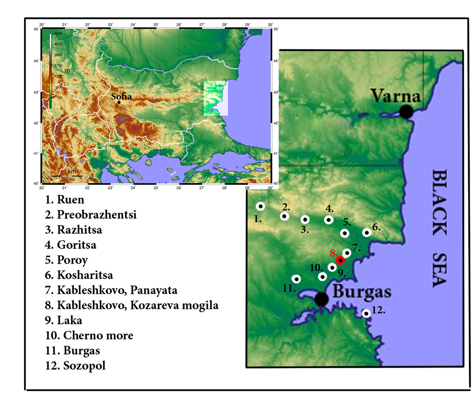 Fig-4-Georgieva.jpg