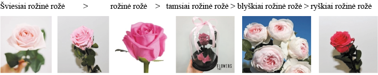 96220.png