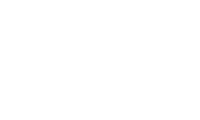 Authenticity and Provenance in Long-Term Digital Preservation: Analysis of the Scope of Content