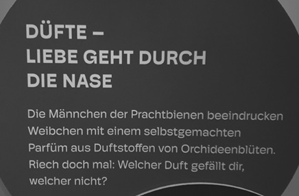 Text in German discusses how the scents of orchid blossoms impress female carpenter bees and invites the reader to smell and choose their favorite fragrance.
Description generated by AI